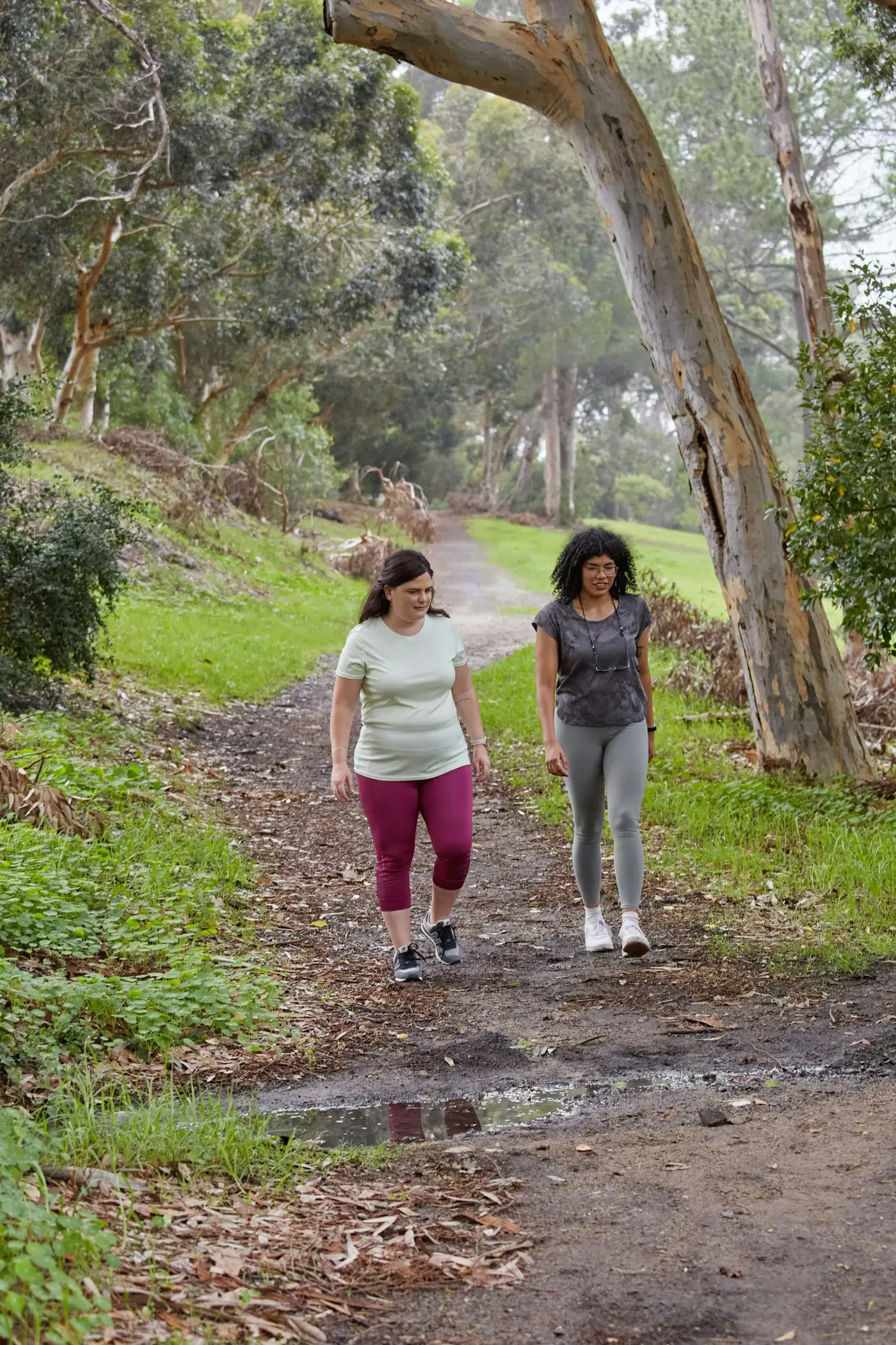 Zwei Frauen gehen im Gespräch einen Waldweg hinauf