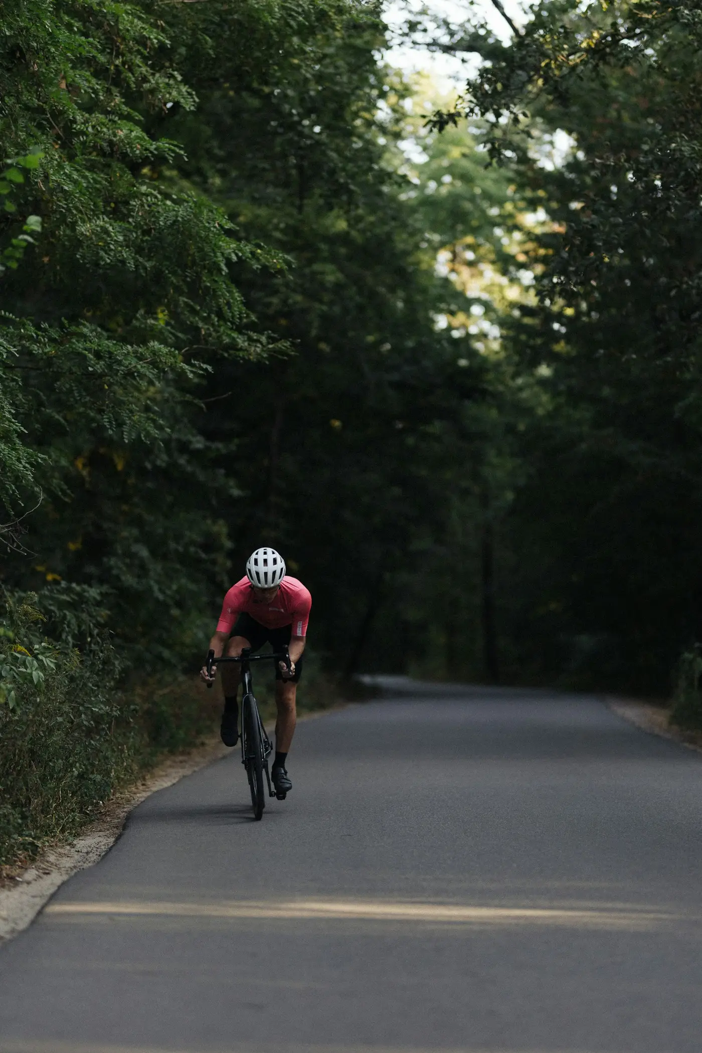 Radfahrer auf einer Allee